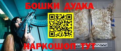 гашик Тулун
