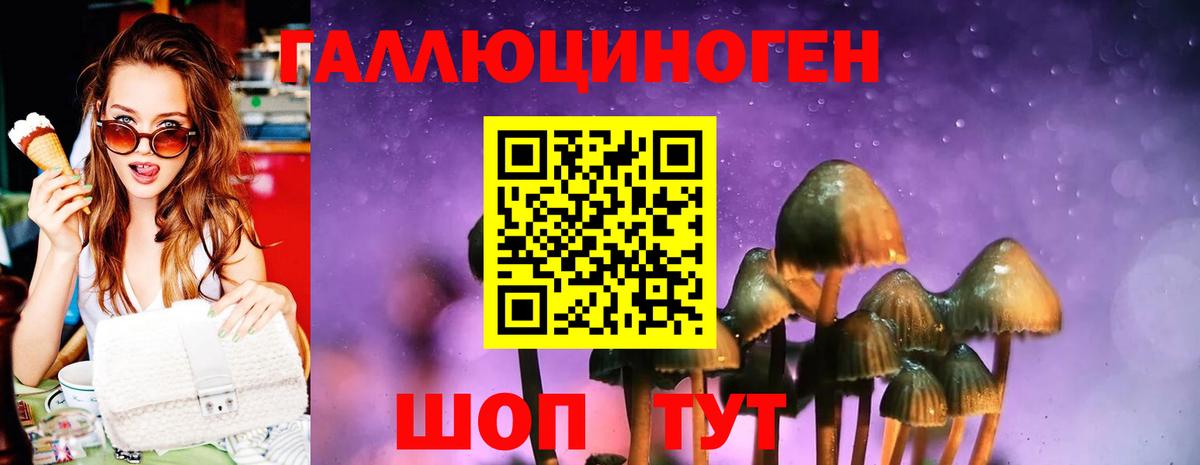 Псилоцибиновые грибы Psilocybine cubensis  Вход с VPN  Псилоцибиновые грибы ЛСД  Малоярославец 